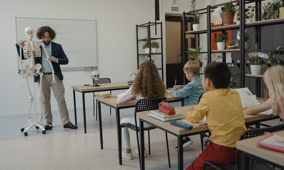 Teacher explaining biology with skeleton model to attentive students in classroom.